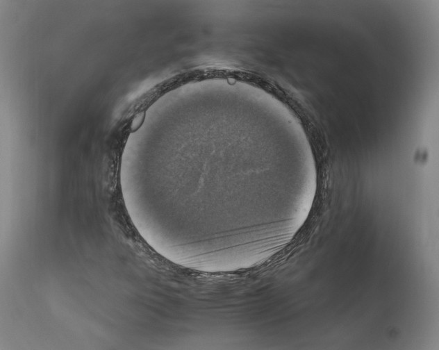 X0000110891303200907301532