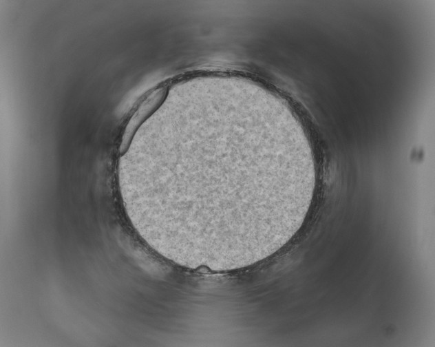 X0000110891304200907301532
