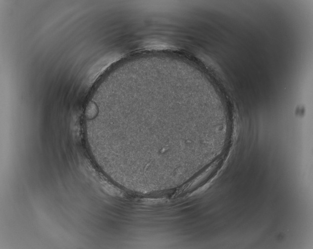 X0000110891305200907301532
