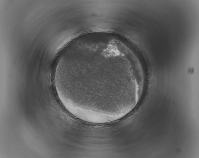 X0000110891306200907301532