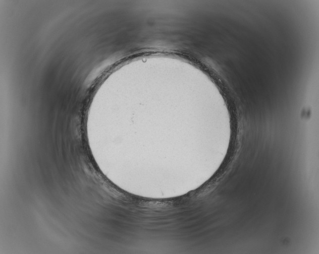 X0000110891307200907301532