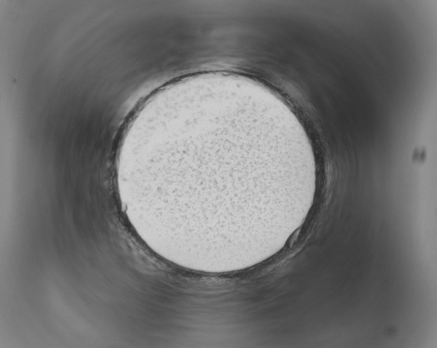 X0000110891308200907301532