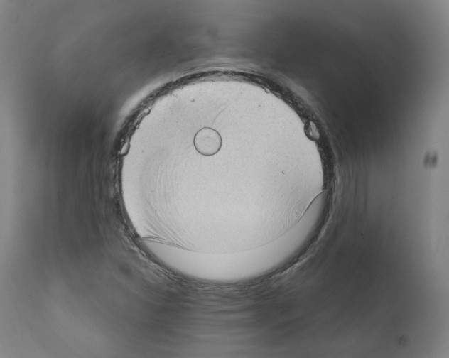 X0000110891310200907301532