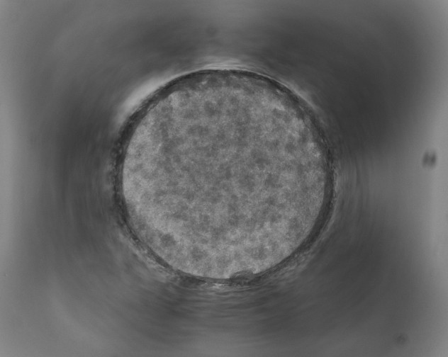 X0000110891311200907301532