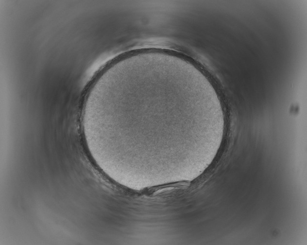 X0000110891312200907301532