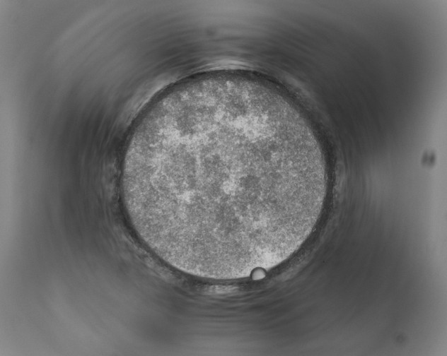 X0000110891313200907301532