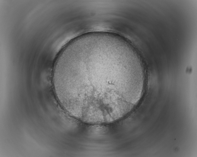 X0000110891314200907301532