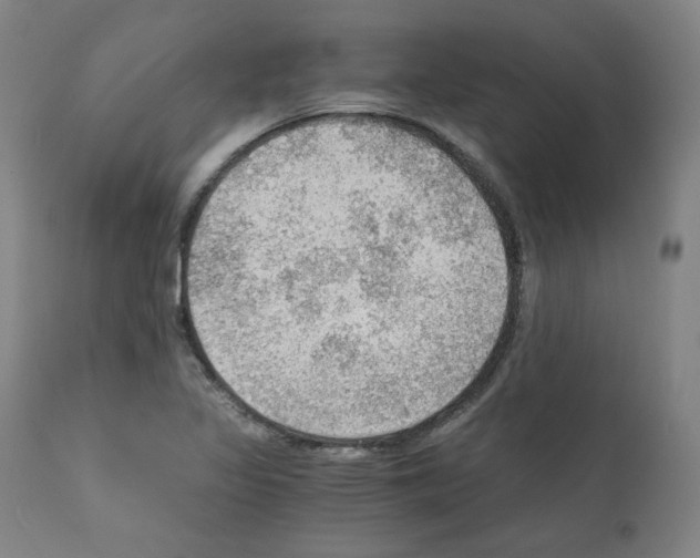 X0000110891317200907301532
