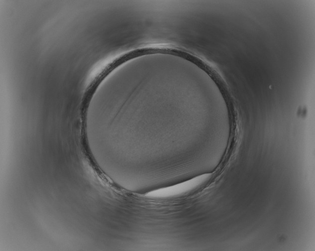 X0000110891319200907301533