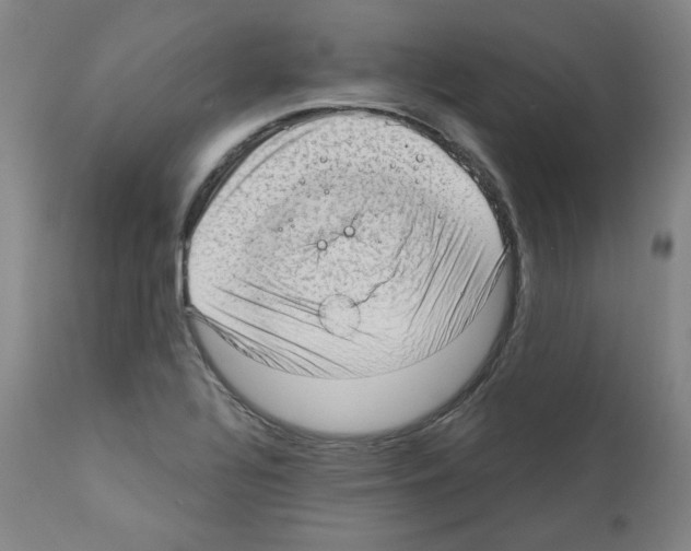 X0000110891320200907301533