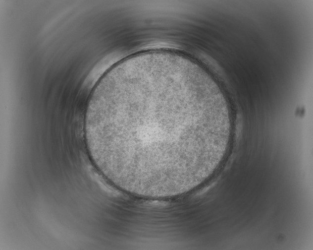 X0000110891321200907301533