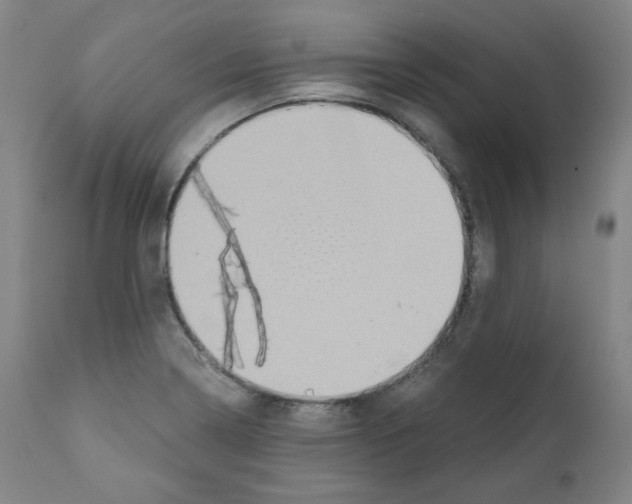 X0000110891322200907301533