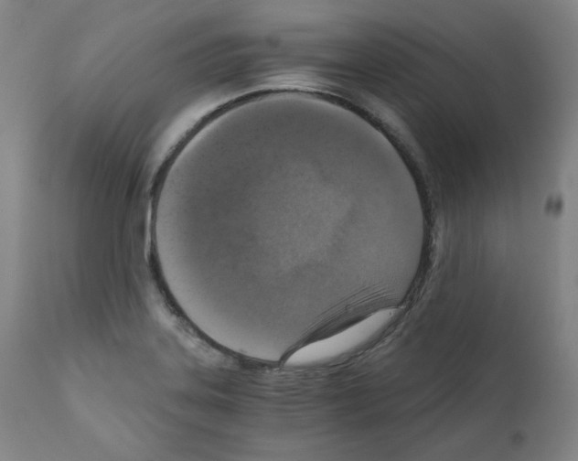 X0000110891323200907301533
