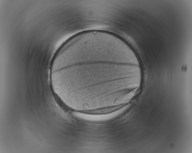 X0000110891324200907301533