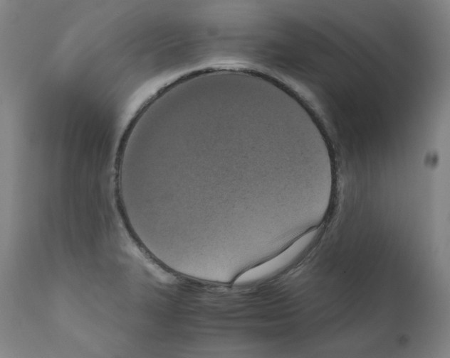 X0000110891327200907301533