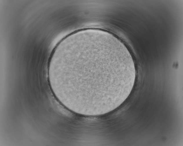 X0000110891328200907301533