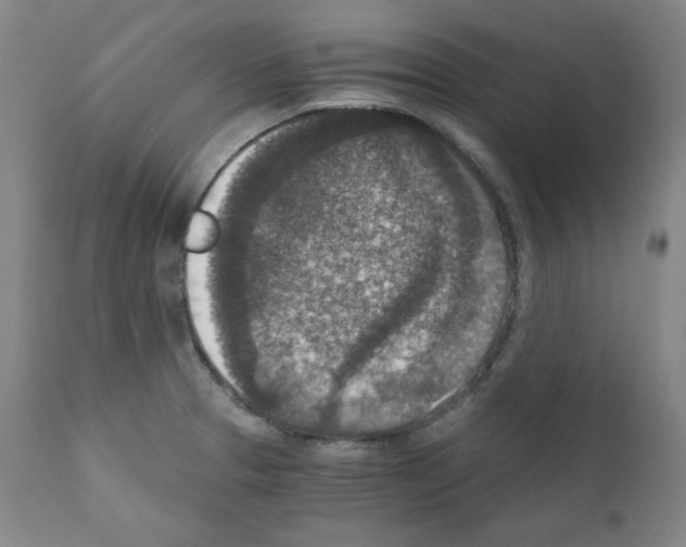 X0000110891329200907301533