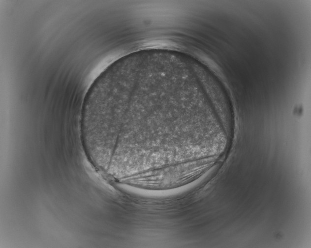 X0000110891330200907301533