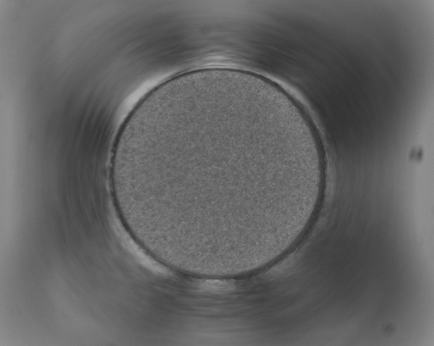 X0000110891333200907301533
