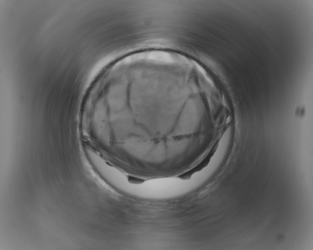 X0000110891334200907301533