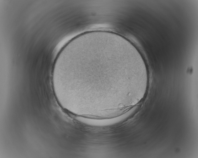 X0000110891336200907301533