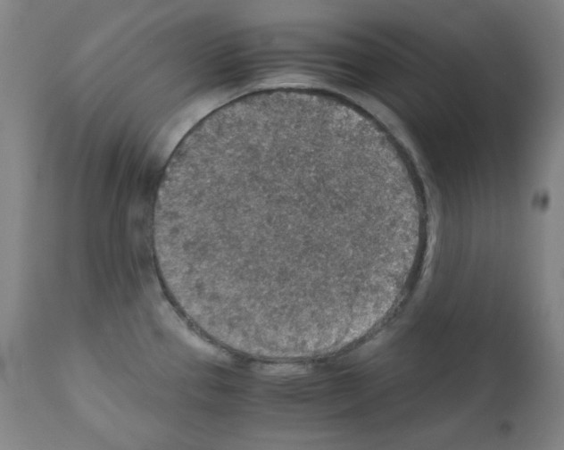 X0000110891337200907301533
