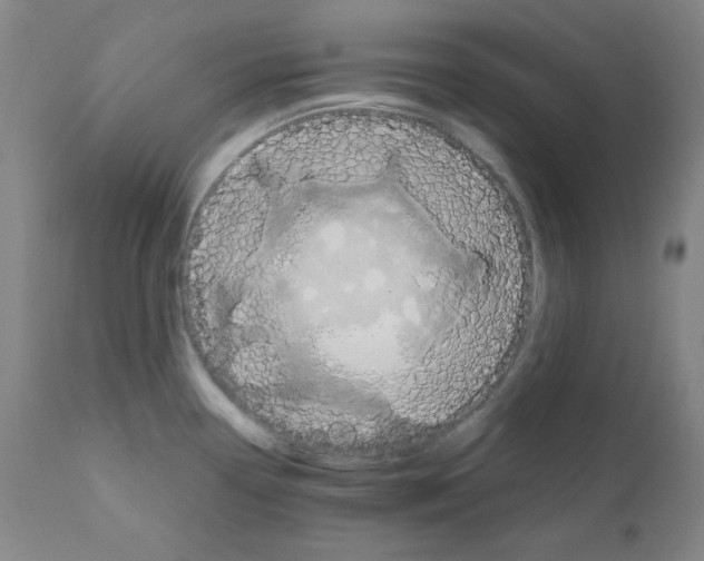 X0000110891338200907301533