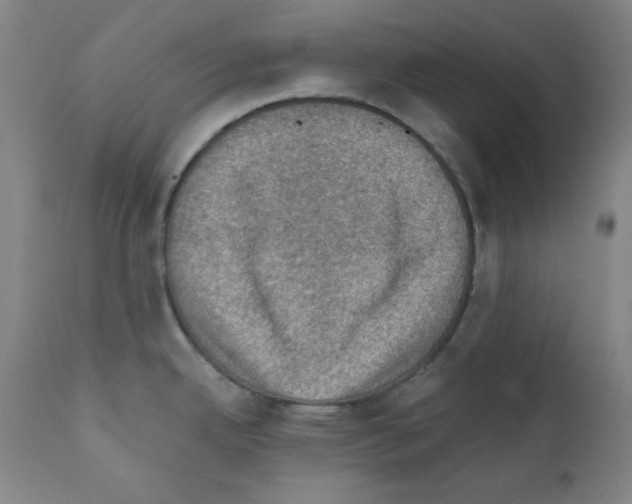 X0000110891342200907301533