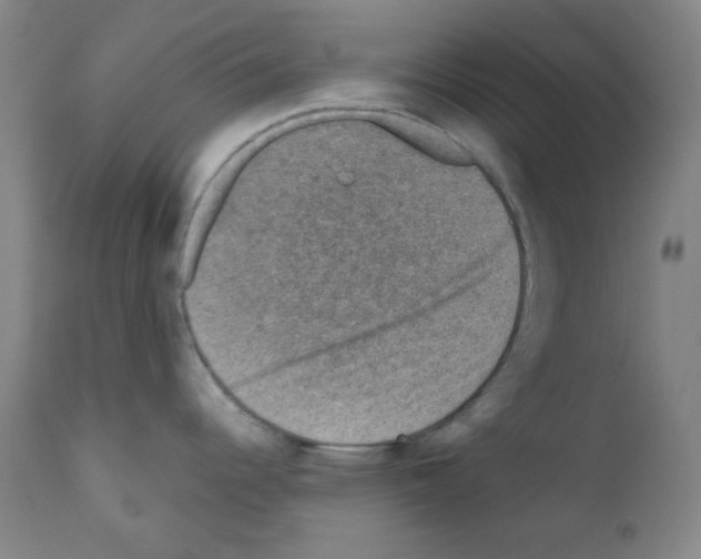 X0000110891344200907301533