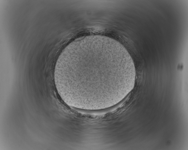 X0000110891345200907301532