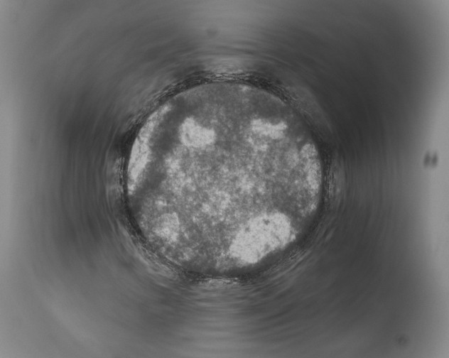 X0000110891346200907301532