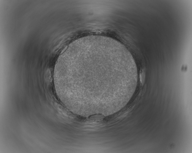 X0000110891347200907301532