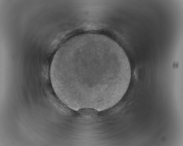 X0000110891348200907301532