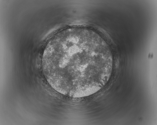 X0000110891350200907301532