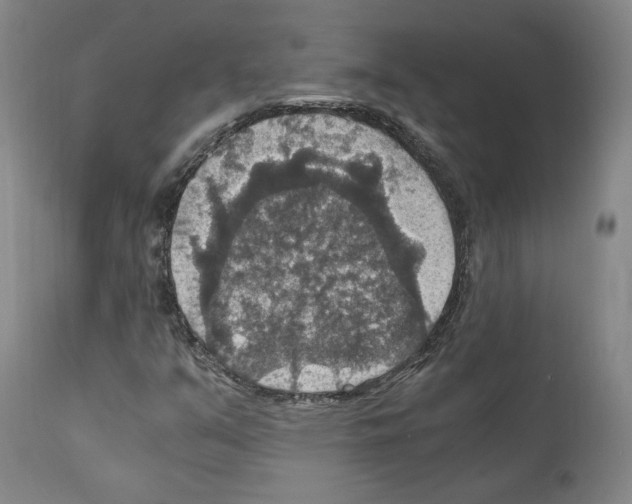 X0000110891351200907301532
