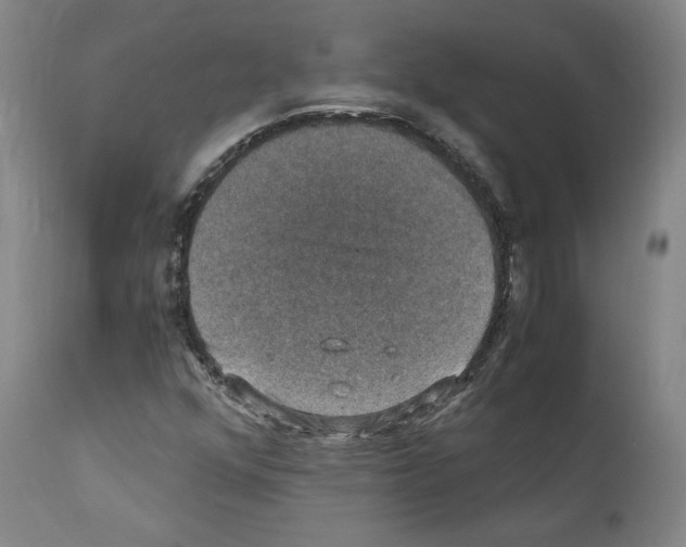 X0000110891352200907301532