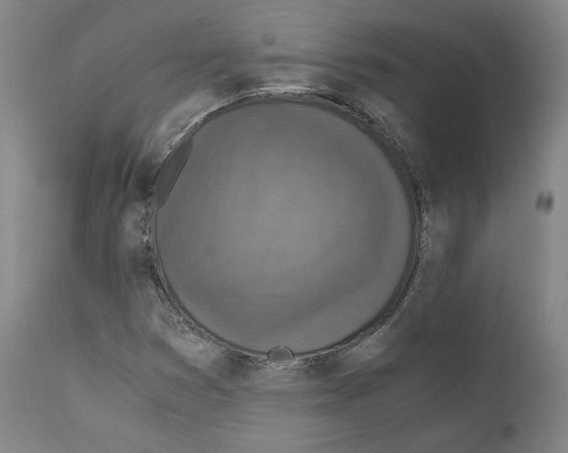 X0000110891353200907301532