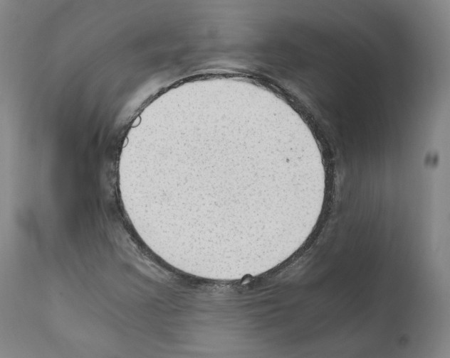 X0000110891355200907301532