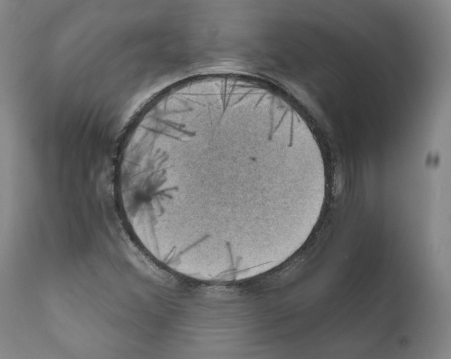 X0000110891356200907301532