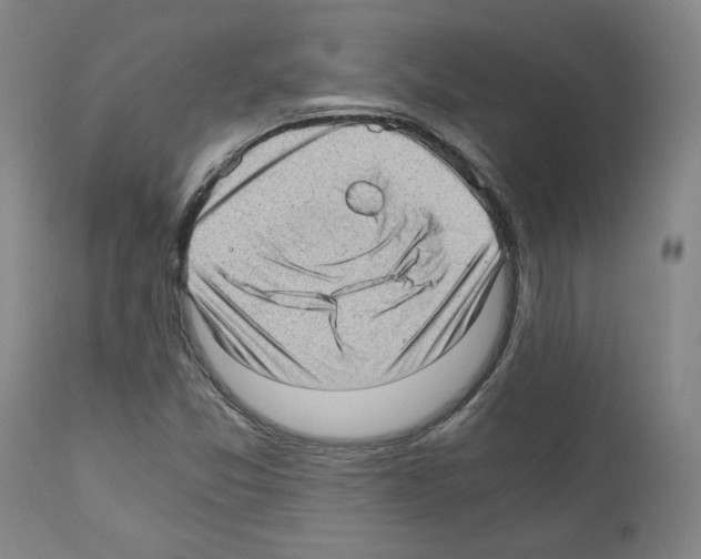 X0000110891357200907301532