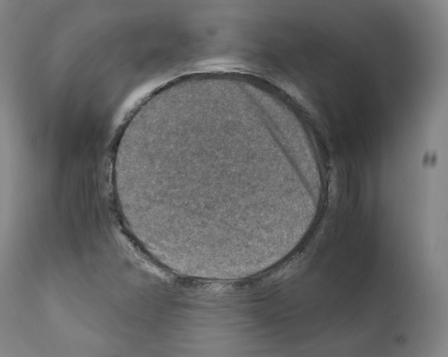 X0000110891358200907301532