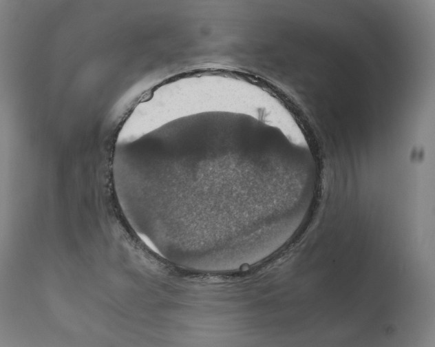 X0000110891359200907301532