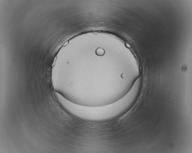 X0000110891361200907301532