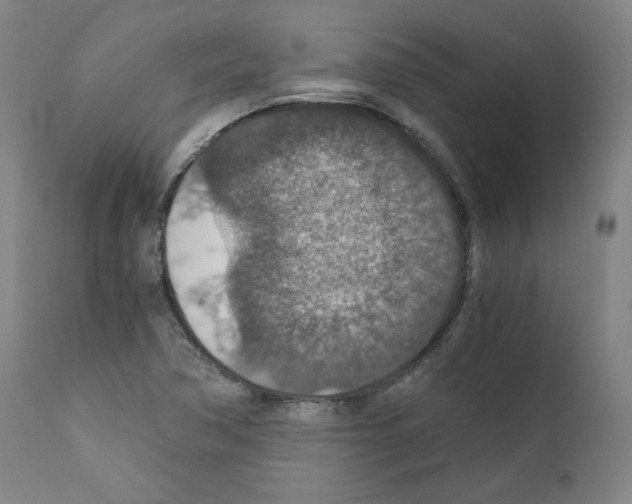X0000110891362200907301532