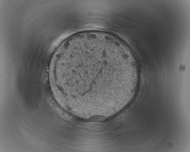 X0000110891363200907301532