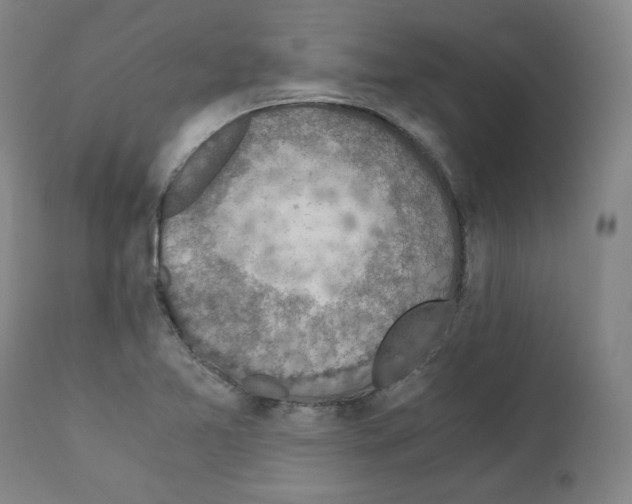 X0000110891365200907301532
