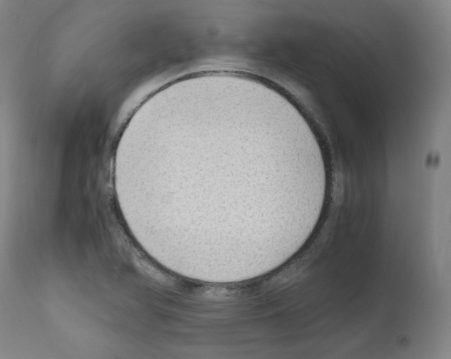 X0000110891366200907301532