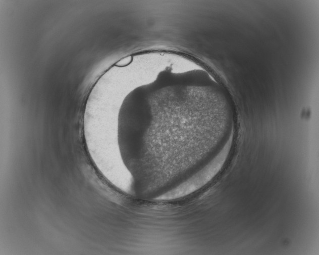 X0000110891367200907301532
