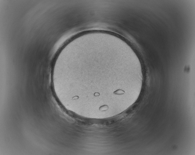 X0000110891368200907301532