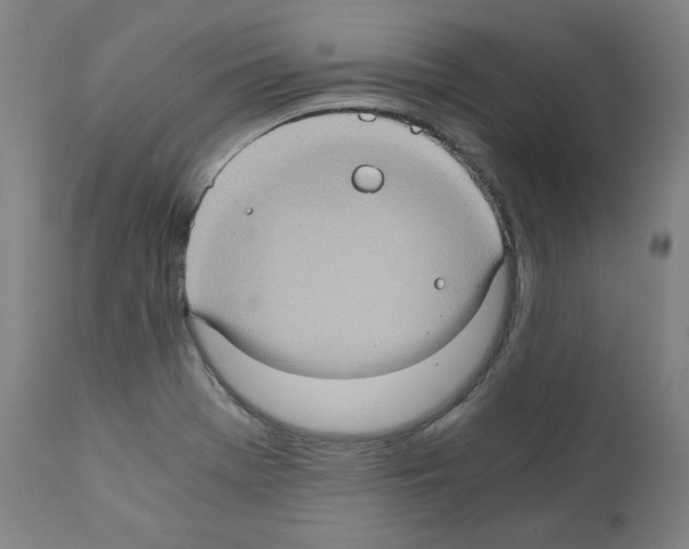 X0000110891369200907301532